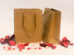 Load image into Gallery viewer, Eco Friendly Natural Kraft Paper Bags With a Shoelace Handle
