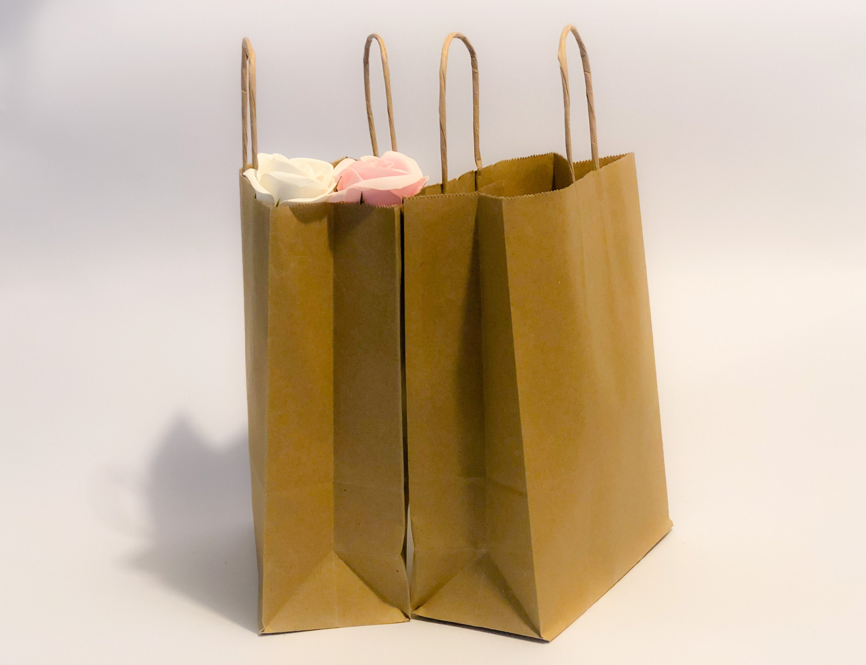 Eco Friendly Kraft Paper Bags